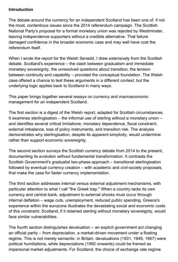 Interim Report on Currency - Prof Thibault Laurentjoye